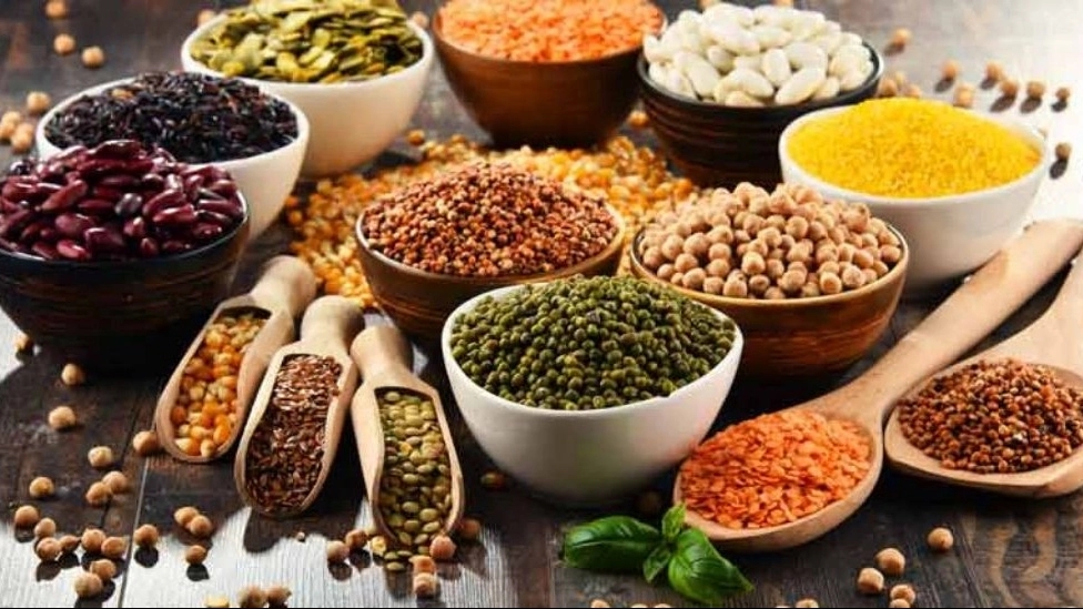 Rabi cobs and beans, bean distribution factory in Azarshahr