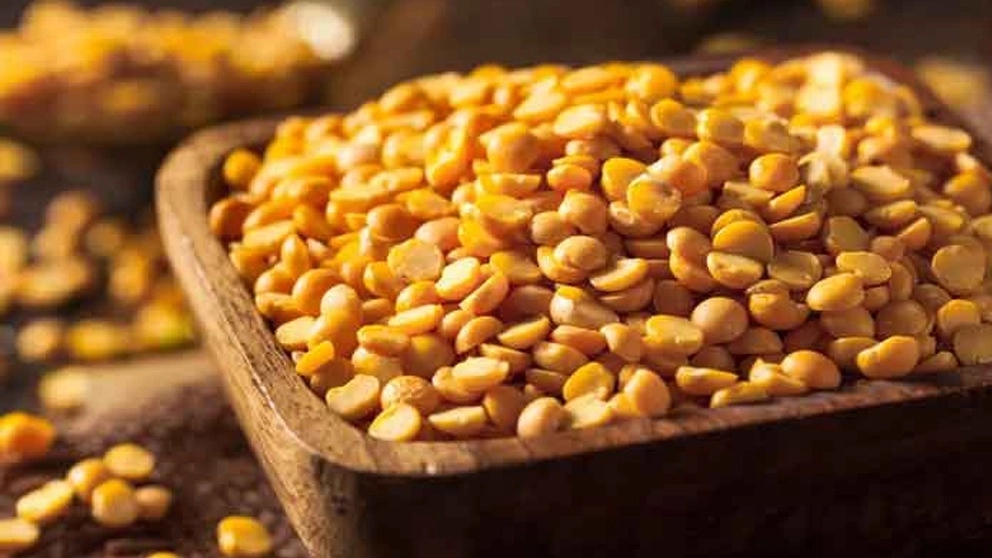 Characteristics and properties of cotyledons