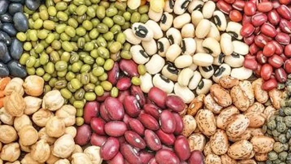 How to store legumes