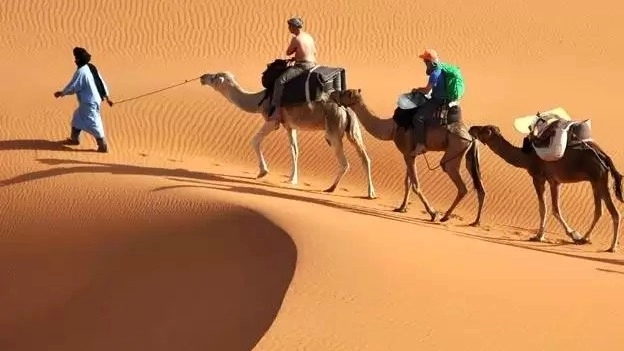 Sinbad desert hiking and ecotourism tour and camp in Maybod, Yazd