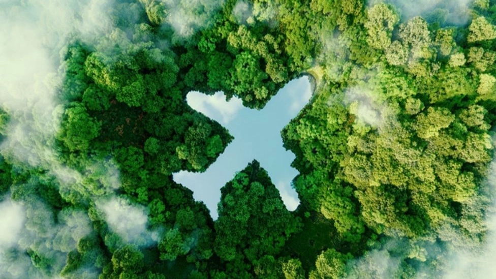 Damon Flight Agency, operator of domestic and foreign tours in Behshahr