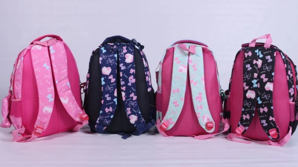 Features of a standard backpack