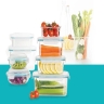 Tek Ta Pars Avarand, a manufacturer of food packaging containers in Tehran