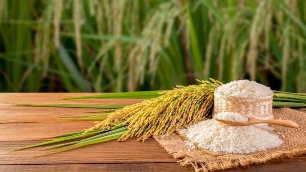 ویژگی‌ها و خصوصیات یک برنج خوب