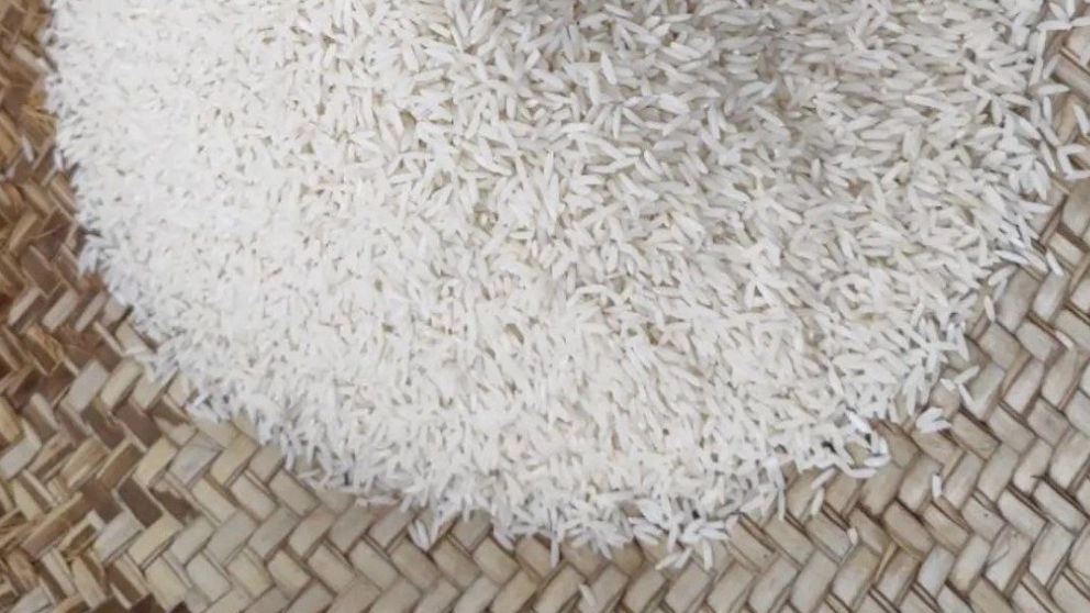 Dawood rice, sale of northern quality rice in Minodasht