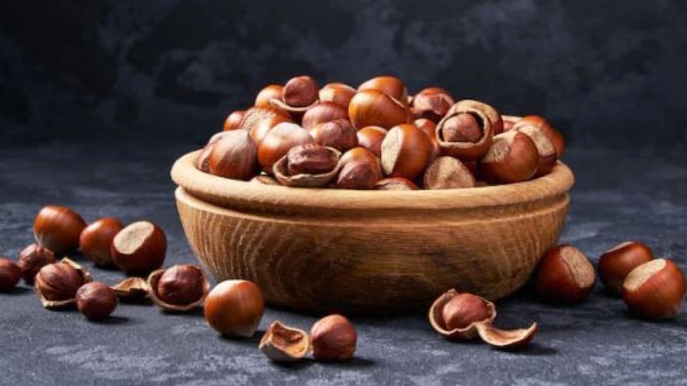 Hazelnut processing in Gilan