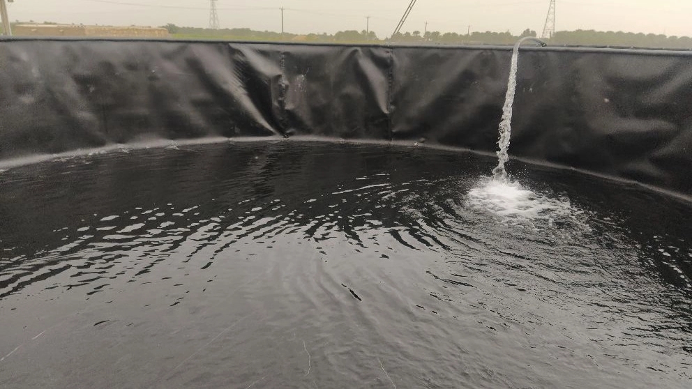 Dense fish breeding in prefabricated ponds