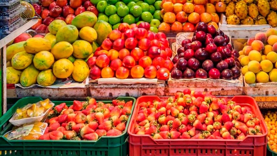 Ahad Shavisi Trading, sale and export of fruits and vegetables in Kermanshah