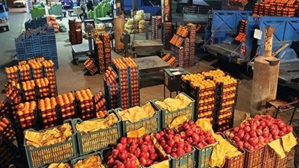 What is the best export fruit?