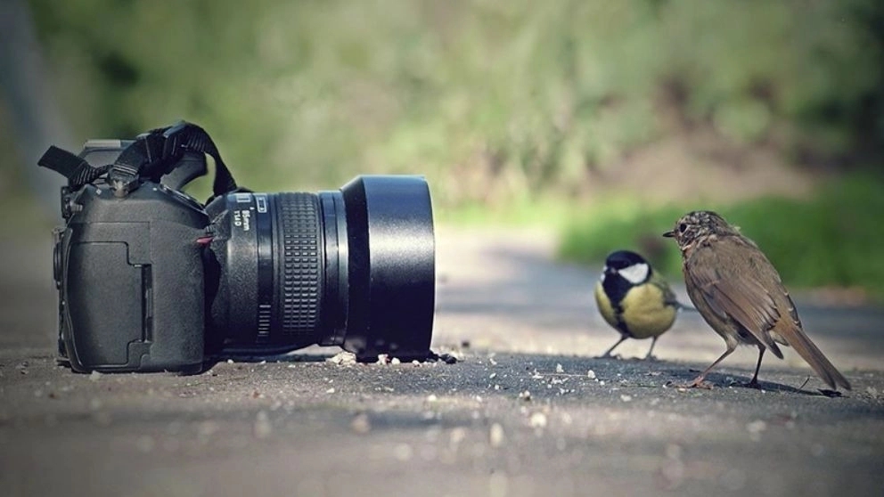 Shahr photography studio, Khalasizadeh's personal and advertising photography for children in Yazd