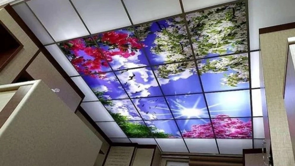 Introducing the virtual sky
