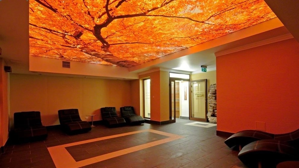 Stretch ceiling with optical line