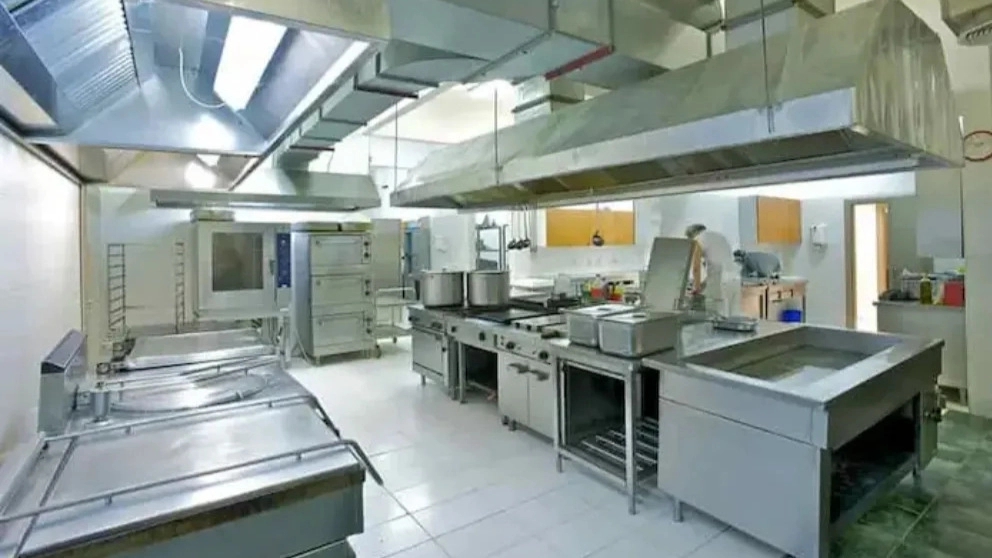 Why is an industrial cooker necessary for a professional kitchen?