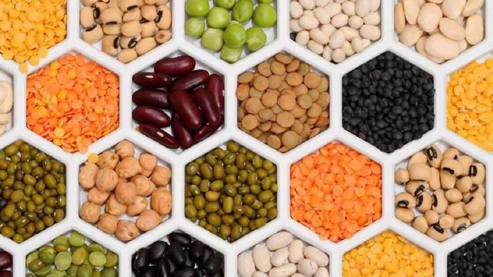 The most important tips for buying beans