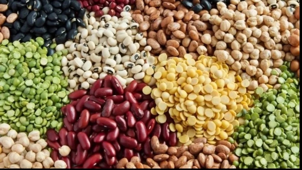 مهمترین نکات خرید حبوبات