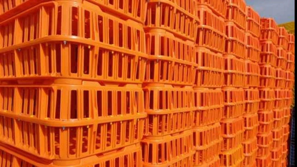 Marwarid Plastic Company, Yazd, manufactures plastic baskets for carrying chicken and yogurt baskets in Yazd
