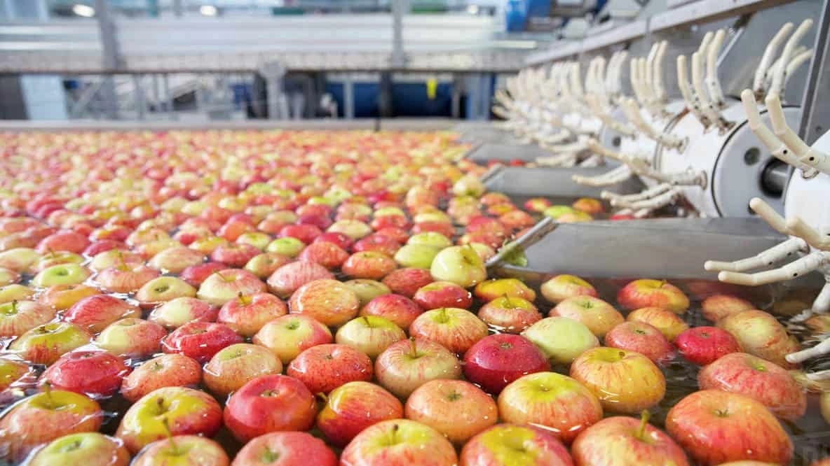Plus brand, supplying food and agriculture industries in Tehran
