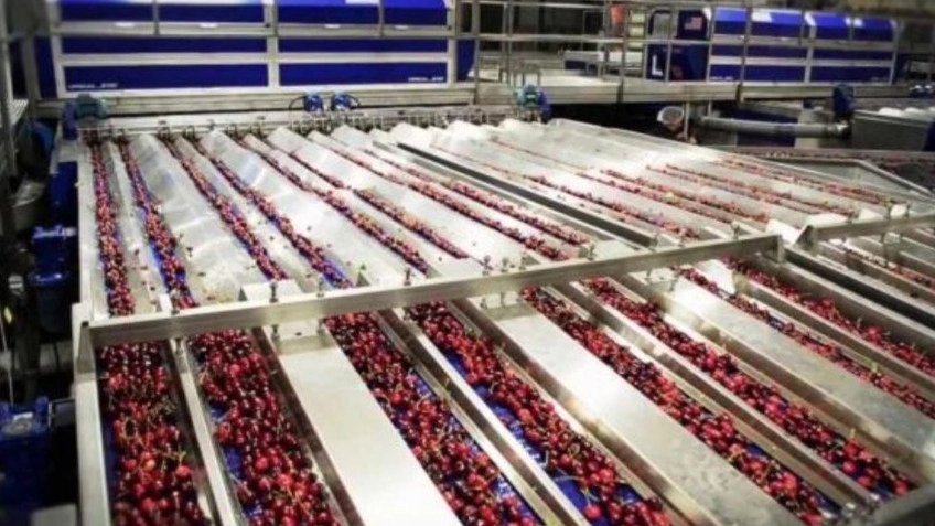 Plus brand fruit concentrate production line in Tehran