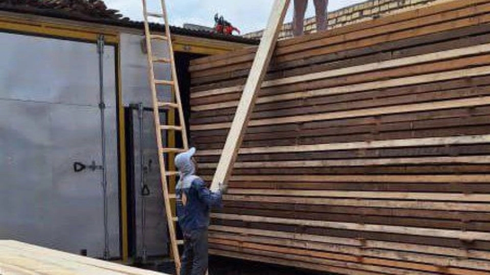 Characteristics of Russian wood