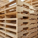Pallet making and Adel wood industries in Semnan