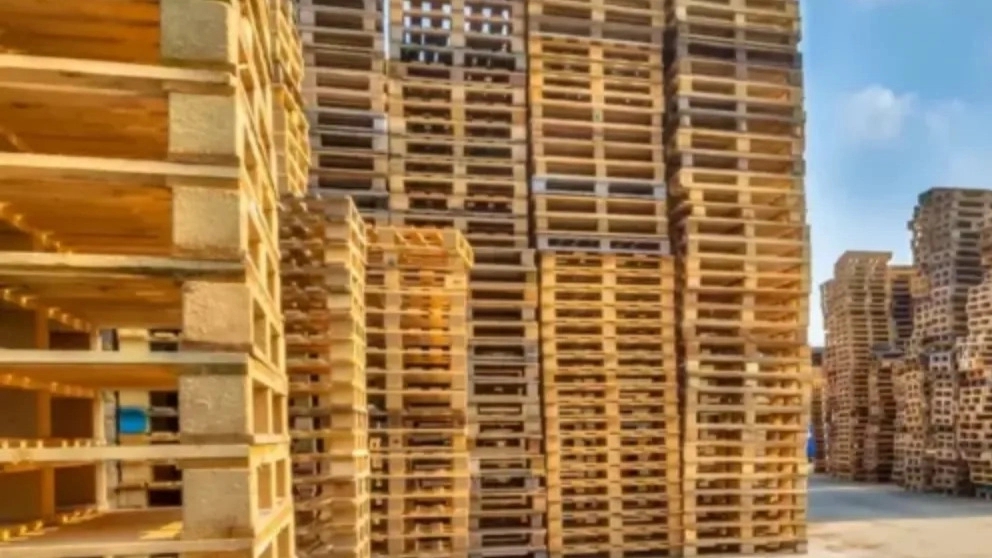 Pallet making and Adel wood industries in Semnan