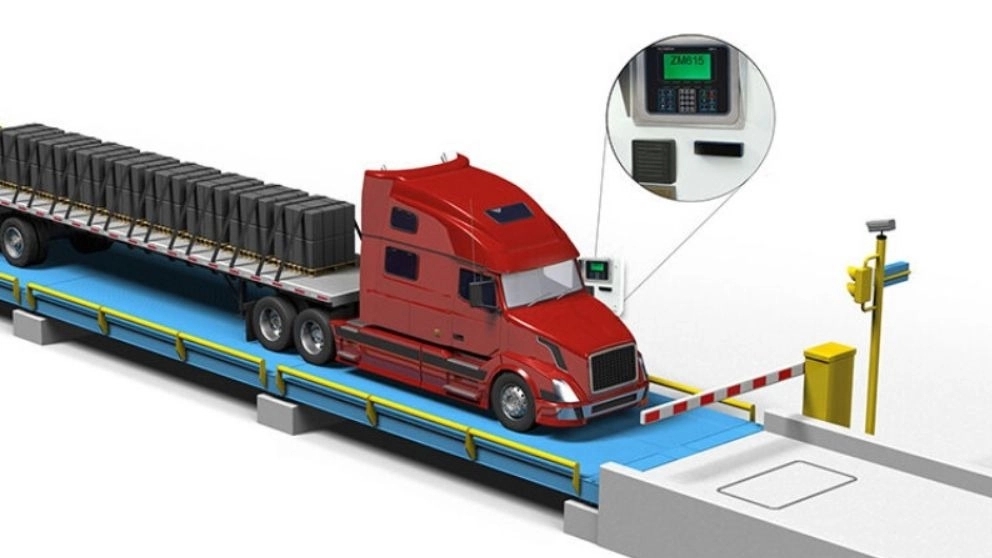 Comparison of digital scale with Kapani scale
