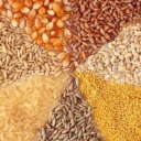 Firouzjai Trading, selling all kinds of rice bran and animal feed in Mazandaran