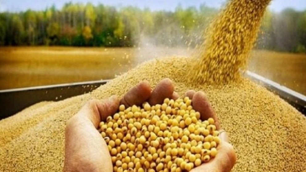 خوراک دام و معرفی اجزای مختلف آن