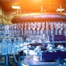Pump Mayeh Company, production and sale of chemical and food pumps in Tehran