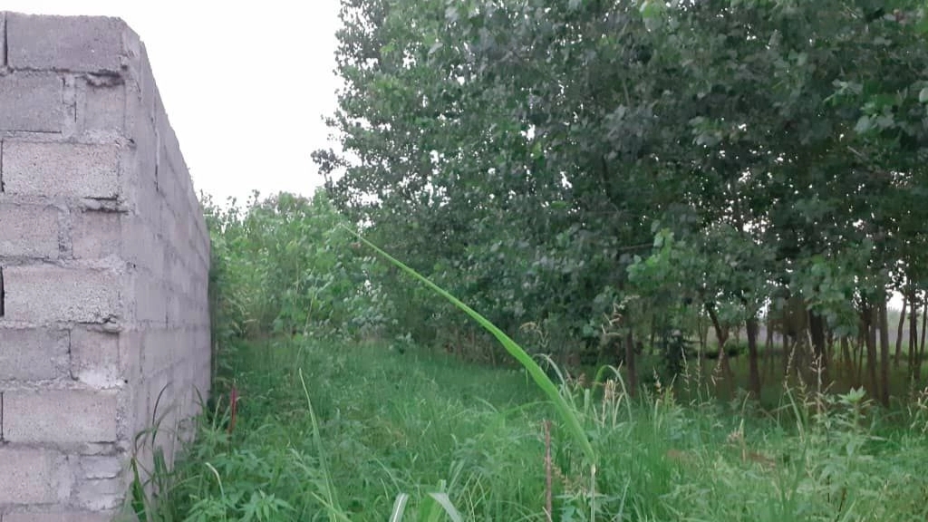 Sale of land measuring 292
