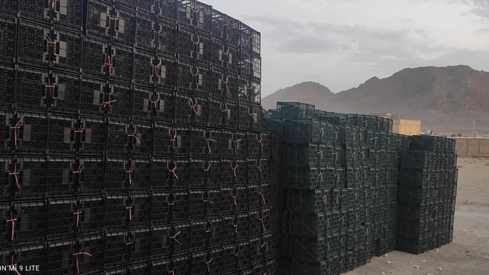 Pars Plast basket making, production and sale of all kinds of fruit baskets in Isfahan