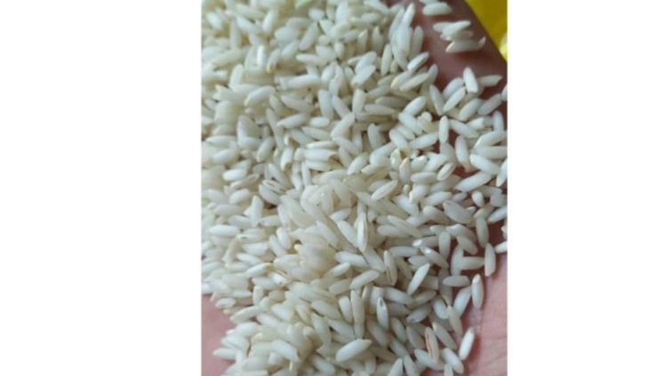Packing dates and rice in Shadgan