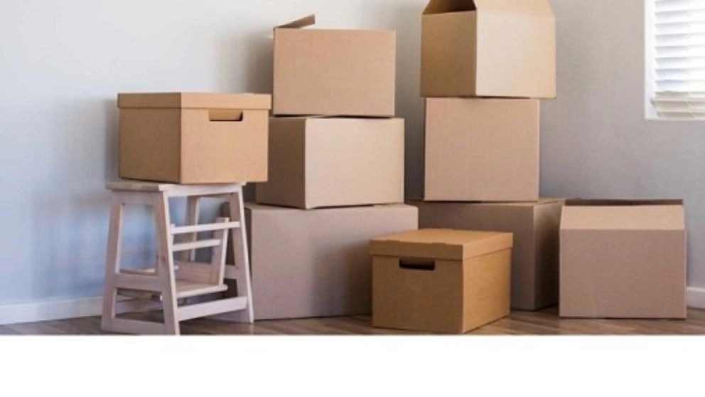 Buying cardboard furniture in Mashhad