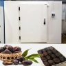 Sardin Company, ice factory and sub-zero and above-zero cold storage complex in Bam