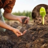 Babaei store, selling compost and potting soil in Hamedan