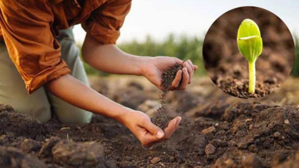 Babaei store, selling compost and potting soil in Hamedan