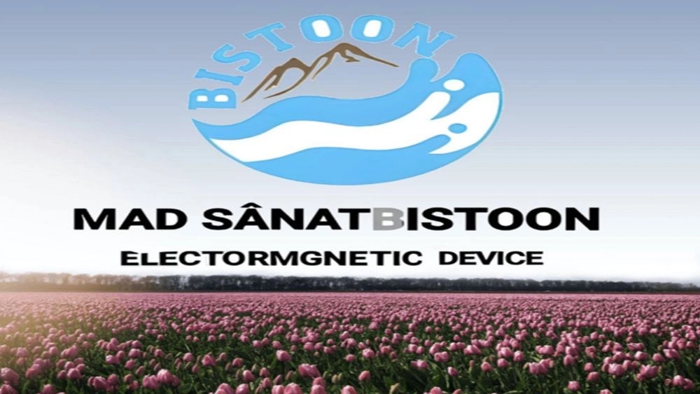 Electromagnetic water purifiers