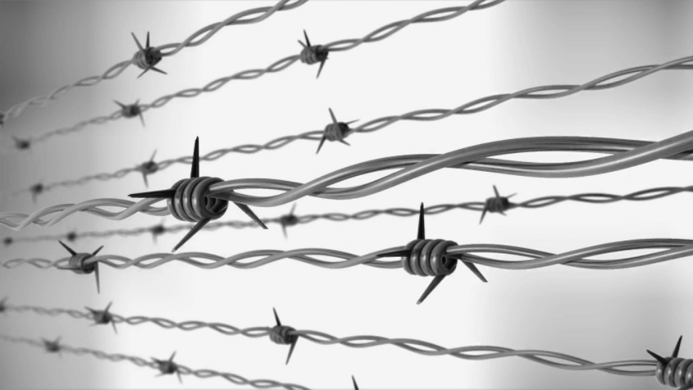 Shiraz Mafool, production and sale of barbed wire fences and rabbits in Fars