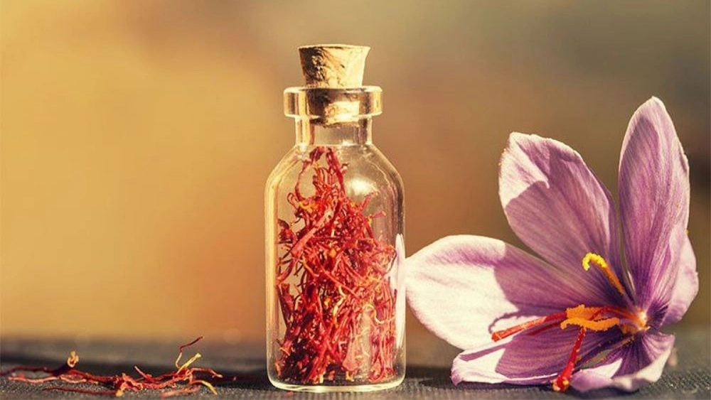 The most important areas of saffron planting