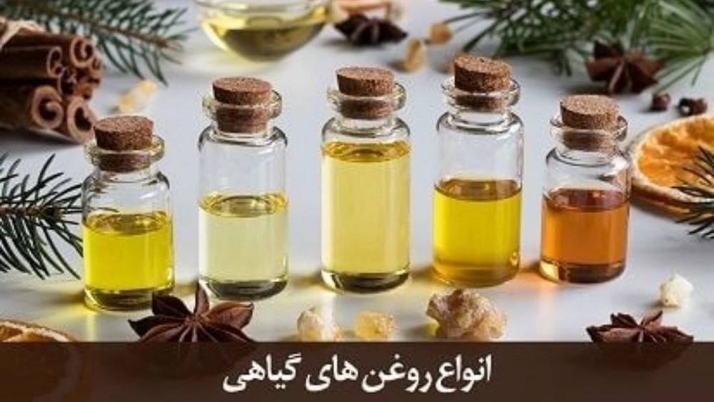 Bisit Bisit production, distribution of vegetable oil and seeds in Tehran