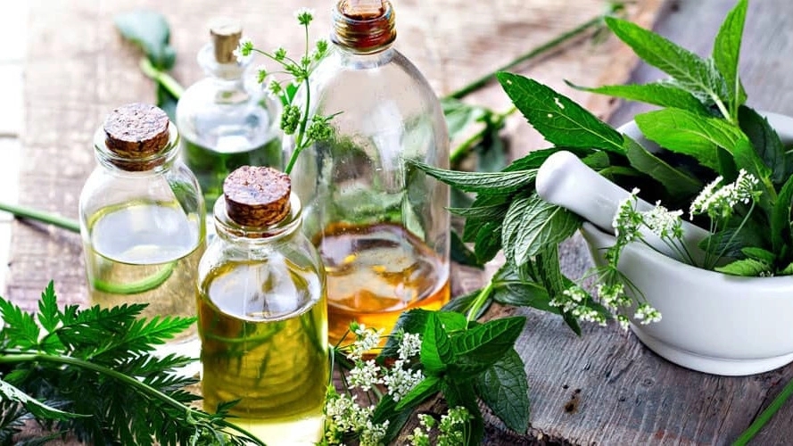 Baavar production, production of vegetable oils in Isfahan