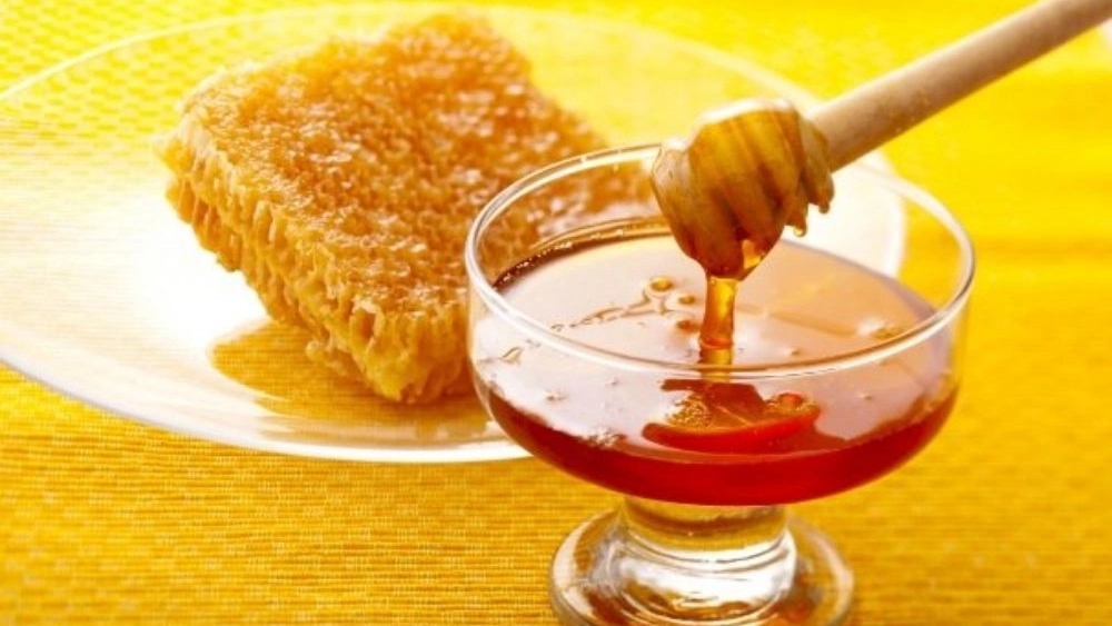 فروش عمده و صادرات عسل ماکونا ارگانیک