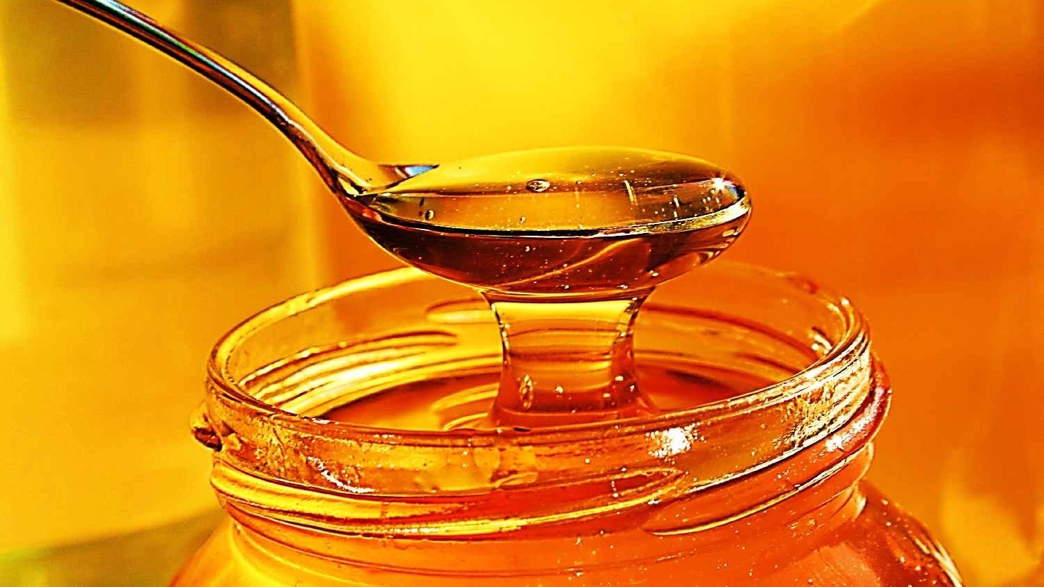 Wholesale sale and export of original saffron honey