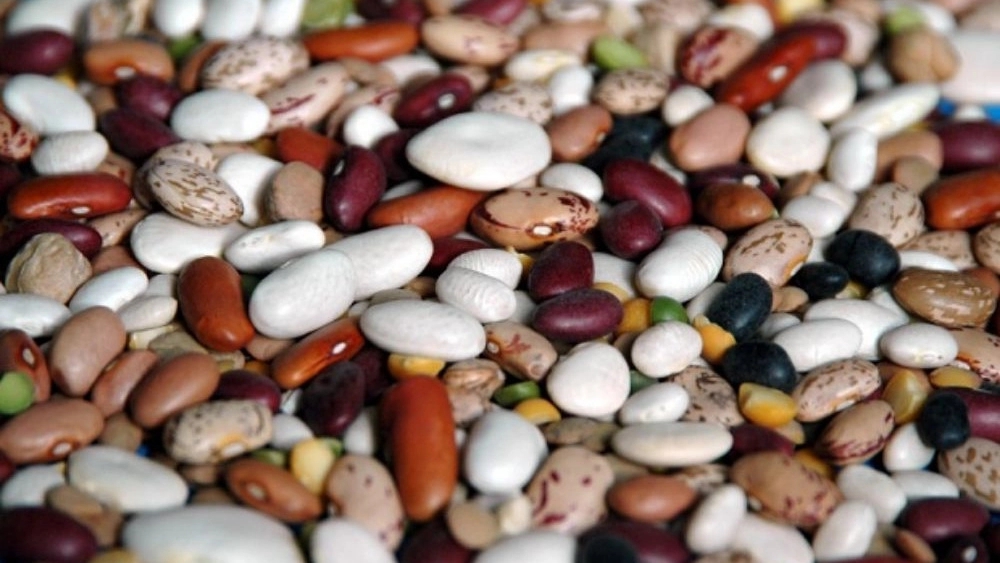 Properties of beans and peas