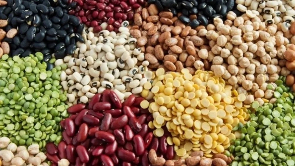 Introduction of legumes