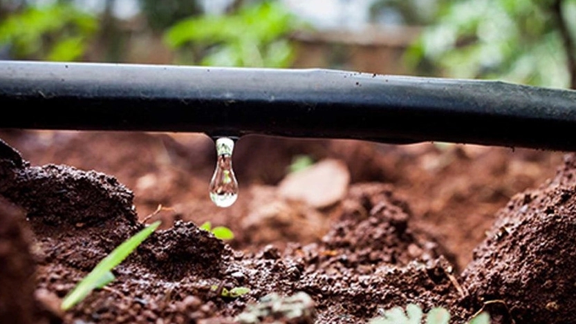 Drip irrigation with polyethylene pipe