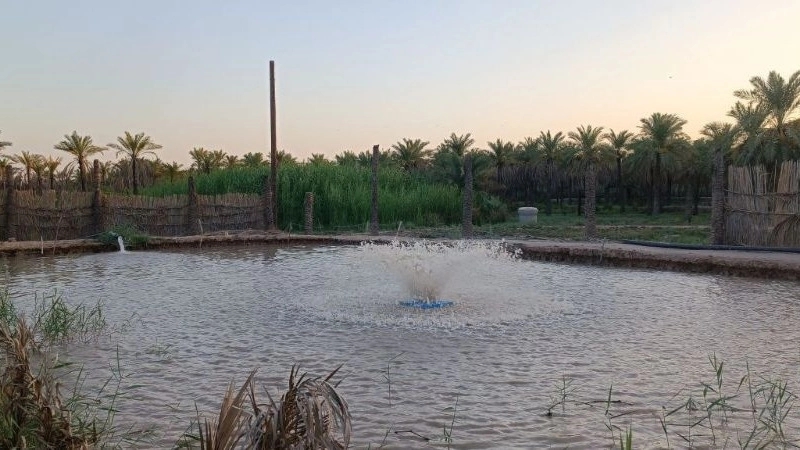 Baharan Kesht and Sanat Ibiar Company, implementation of prefabricated swimming pool in Sistan and Baluchistan