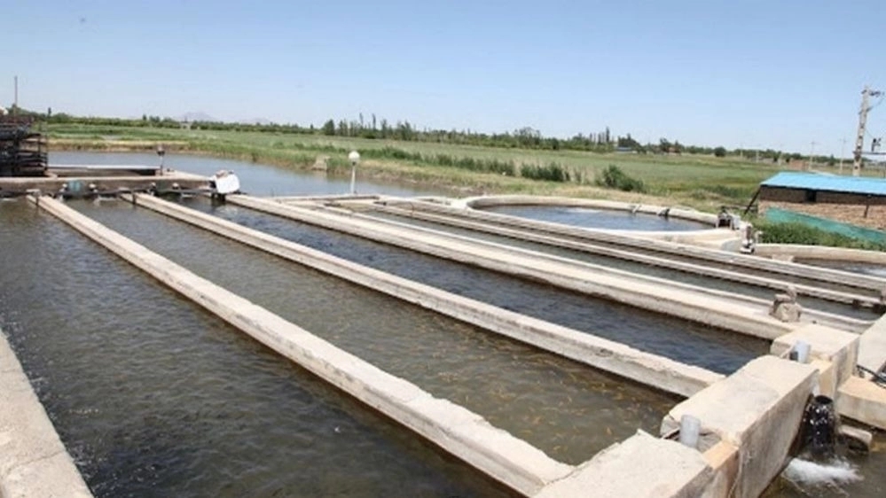 Swimming pool construction