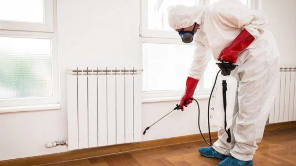 Professional spraying and pest control in the best way in Bushehr
