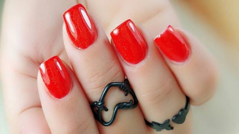 Masi nail training and planting in Golsar Rasht